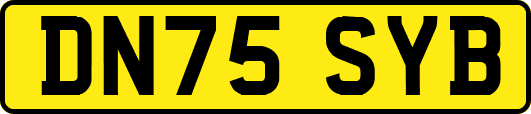 DN75SYB