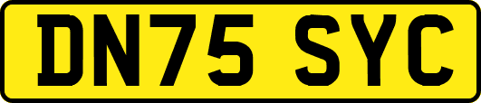 DN75SYC
