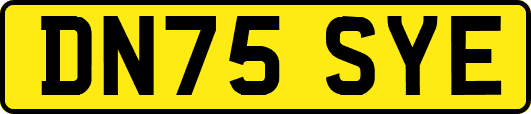 DN75SYE