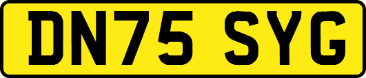 DN75SYG