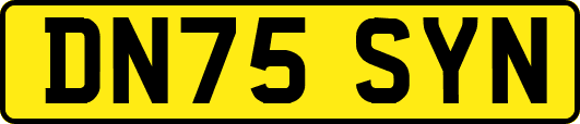 DN75SYN