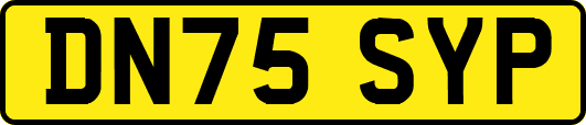 DN75SYP