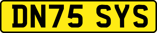 DN75SYS