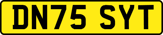 DN75SYT