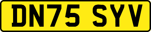 DN75SYV