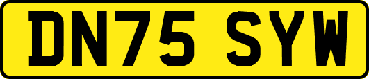 DN75SYW