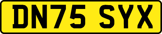 DN75SYX