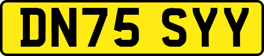 DN75SYY