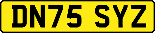 DN75SYZ