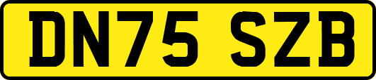 DN75SZB