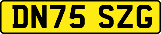 DN75SZG