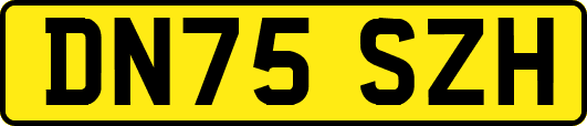 DN75SZH