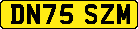 DN75SZM