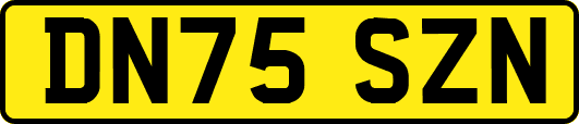 DN75SZN