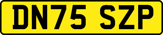 DN75SZP