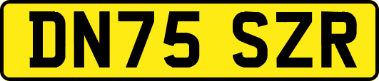 DN75SZR