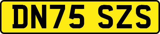 DN75SZS