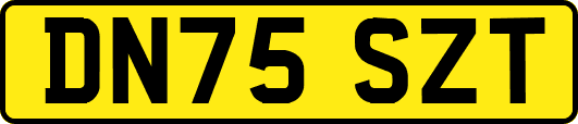 DN75SZT