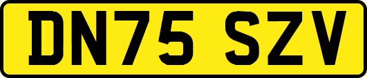DN75SZV