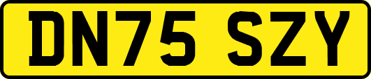 DN75SZY