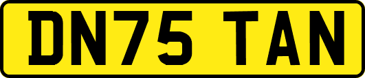 DN75TAN