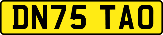 DN75TAO