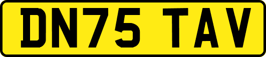 DN75TAV