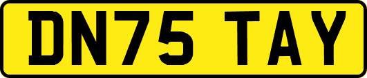 DN75TAY