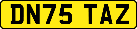 DN75TAZ