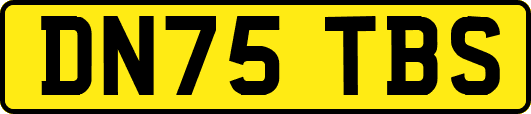 DN75TBS