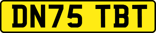 DN75TBT