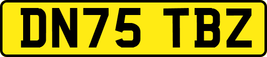 DN75TBZ