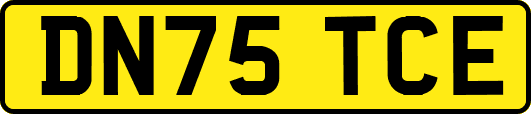 DN75TCE