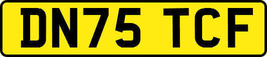 DN75TCF