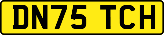 DN75TCH