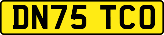 DN75TCO