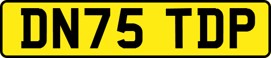 DN75TDP