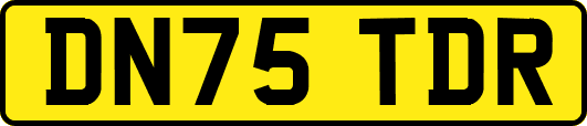 DN75TDR