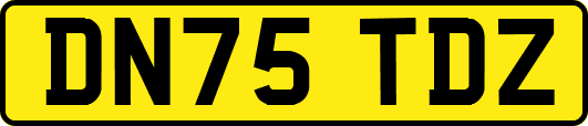 DN75TDZ