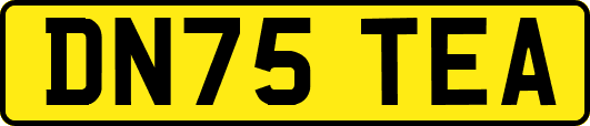 DN75TEA