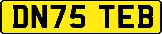 DN75TEB