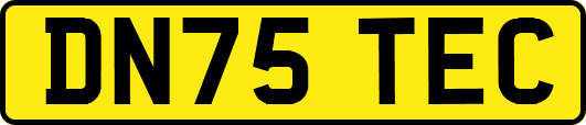 DN75TEC