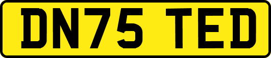 DN75TED