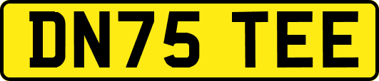 DN75TEE