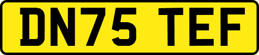 DN75TEF