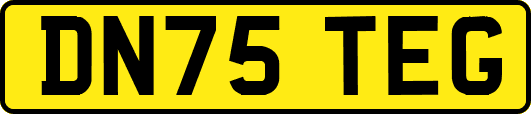 DN75TEG