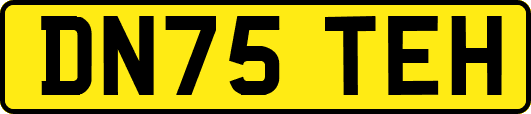 DN75TEH