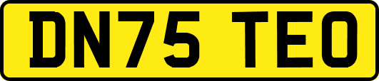 DN75TEO
