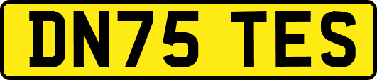 DN75TES