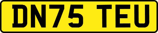 DN75TEU